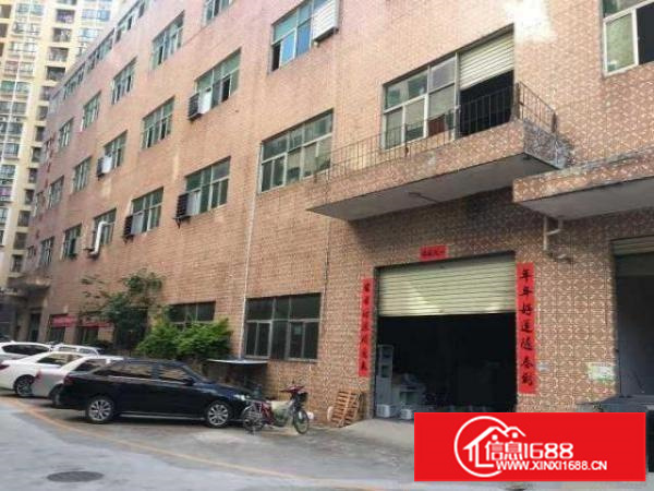 出租龙华观澜一楼标准厂房600平米使用率超高