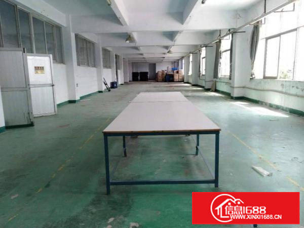 惠州秋长新出标准厂房(三楼)1600平方，精装修