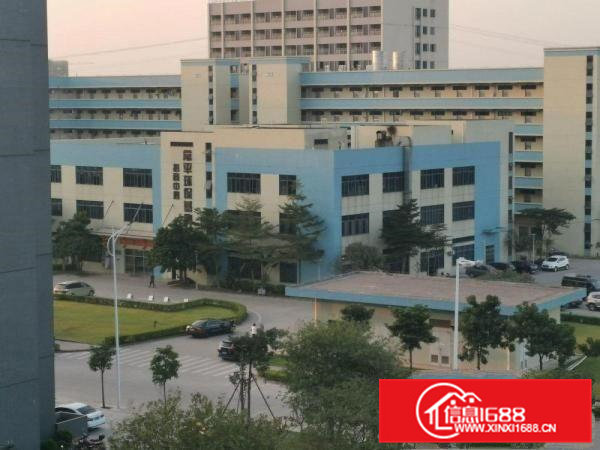 常平和谢岗交界厂房招租（非中介）