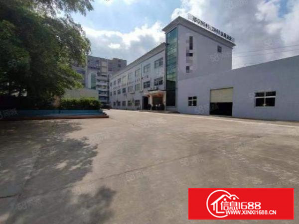 稀有资源自用厂房一楼精装修厂房1500平方超大空地厂房出租