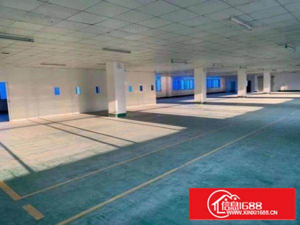 沙井107国道18元带装修厂房招租环境优美停车位充足