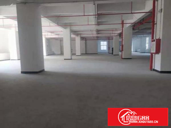 长安乌沙标准厂房2000平厂房出租电子五金首饰