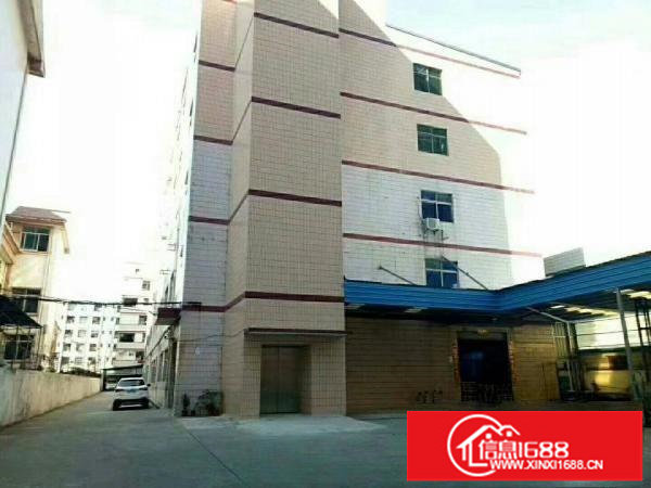 坑梓1200平带装修办公室，无需转让费