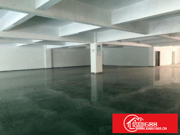 中心城志达工业园2076平厂房出租房东直租带车位卸货平台5年