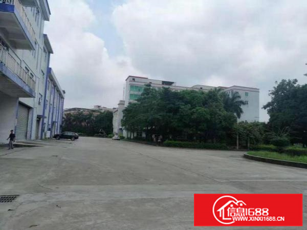 镇隆原房东新出厂房大工业园30000平方米可整租也可以分租