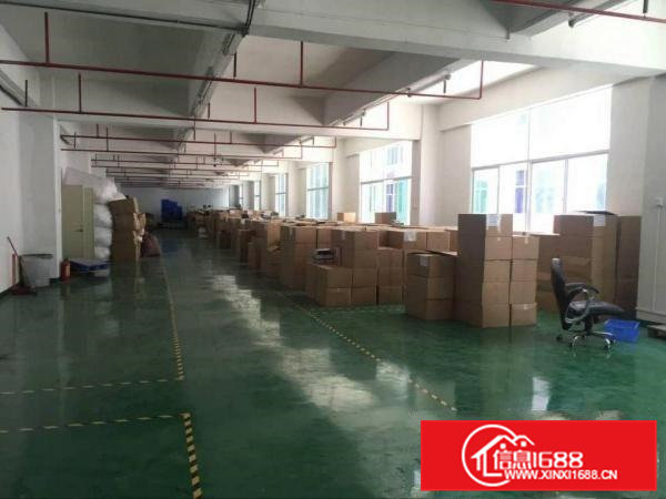 凤岗金凤凰电子组装五金加工电商带装修厂房出租