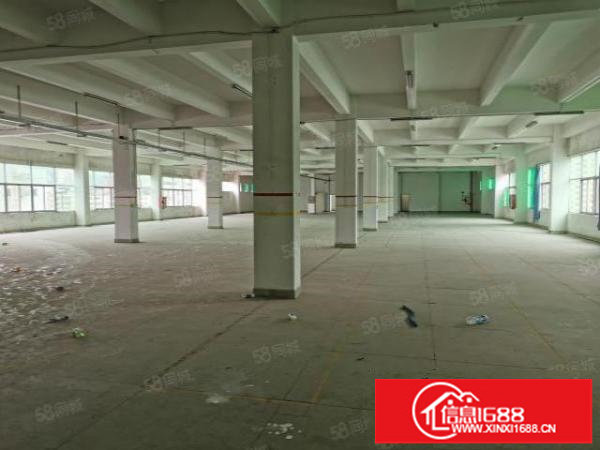 大浪同富屯附近新出楼上2000仓库加工都可以