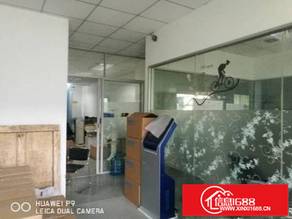 坪山石井新出一二楼共1500平带两顿电梯招租（可分租）