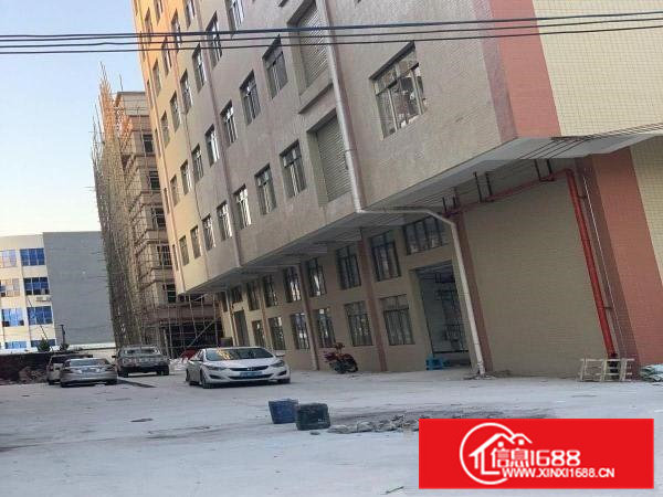 业主自建全新厂房单层1200平方米出租