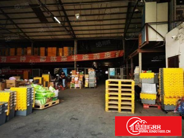 坂田物流园新出原房东单一层钢构5000平出租