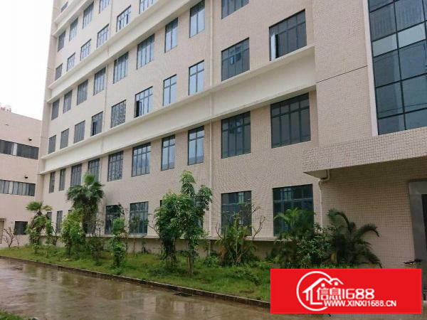 坂田全新厂房每层1600平米层高7.8米