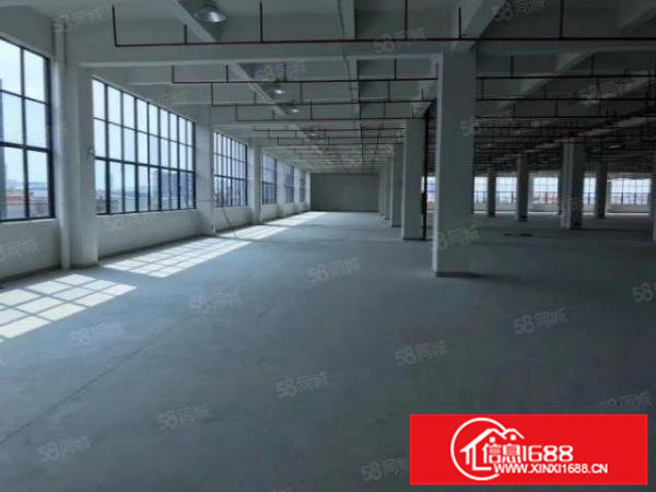 松岗107国道边重工业厂房出租2楼2500平米承重1.5吨