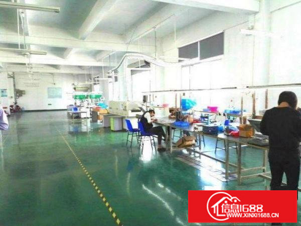 （龙岗）坪地新出标准一楼厂房5300平高度7米现成车间地坪漆