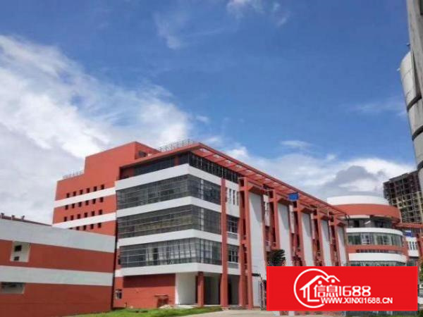 茶山新出独门独院标准厂房8000方，空地3000，一楼6米