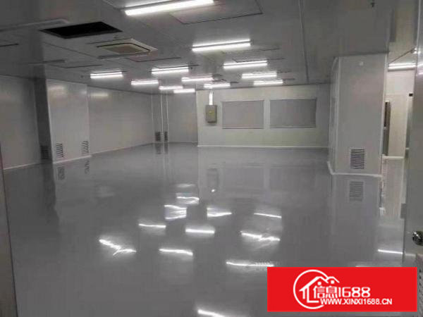 东莞大岭山园区无尘车间厂房1500平米