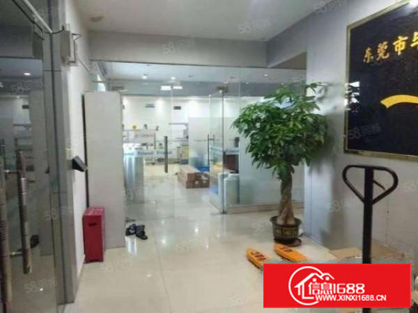 长安沙头新出精装修楼上300平厂房