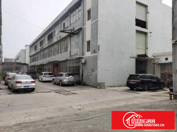 万江严屋工业区新出标准厂房三层1250平方每层