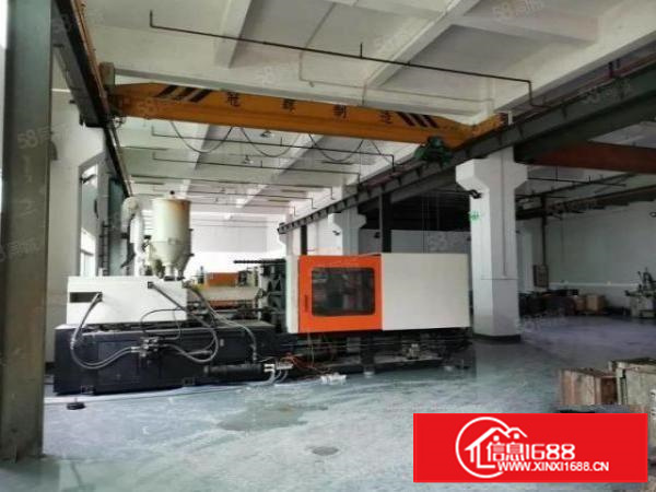 石碣唐洪标准厂房一楼900方（内高6米带5吨行车）