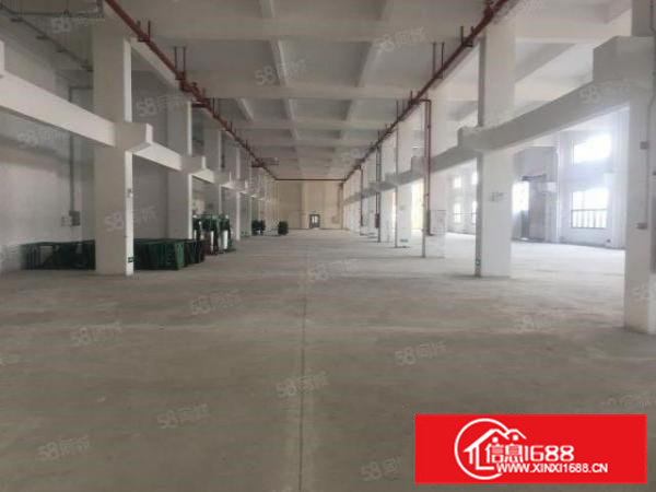 勒流江义800方国有厂房水泥首层，租金仅需18500月两押