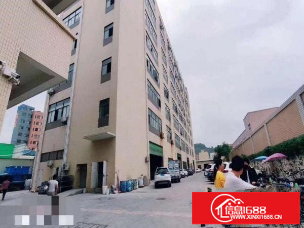 东深二线旁带装修厂房出租楼上整层2000平米价格实惠