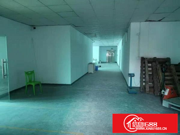 横岗园山精装修900平米独立一层出租