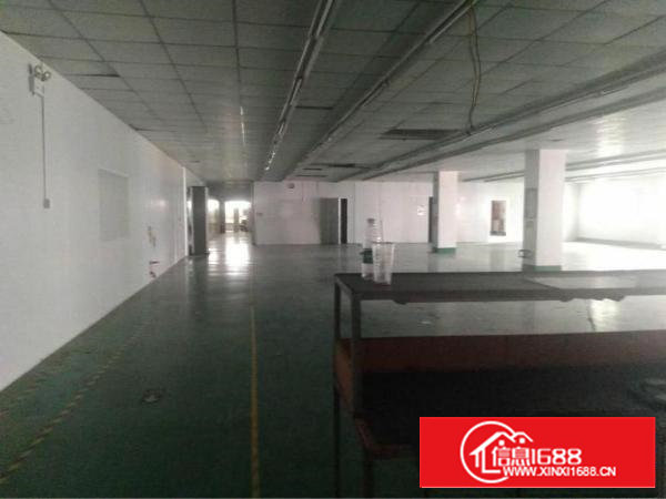 沙井西部大型工业园区新出楼上2213平米厂房出租