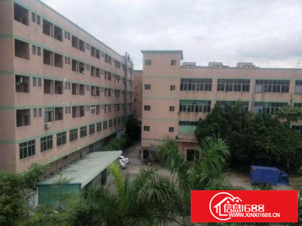 黄江合路出租二楼800平方厂房原房东，可办环评