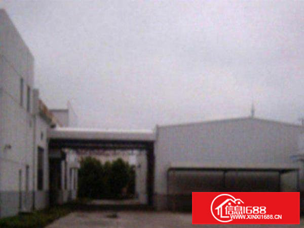 高埗工业区独院单一层钢构厂房2200平方出租交通便利