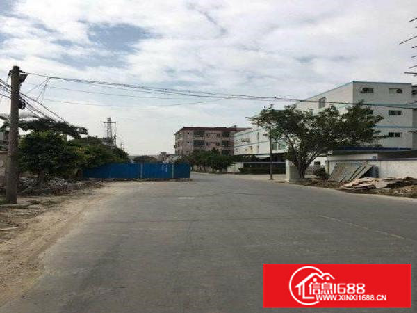 东莞市常平镇靠近大京九小独院单层厂房