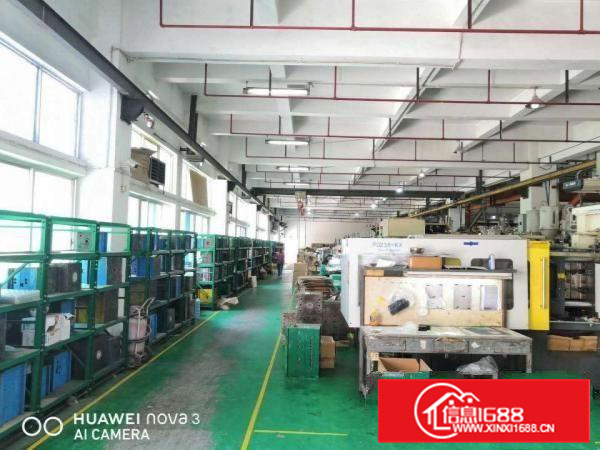 有注塑喷油移印丝印环评长安镇沙头出租一楼厂房可分租