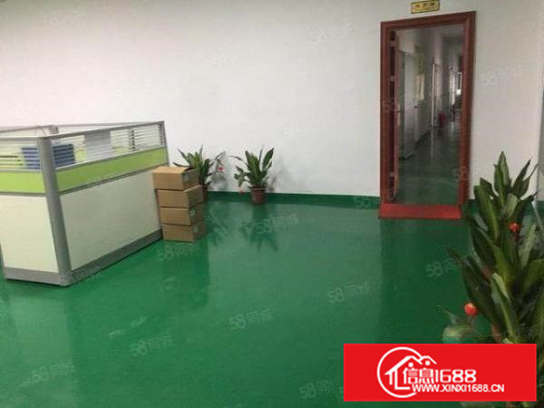 清溪大利新出原房东二楼600平方带装修12元急租