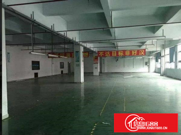 急租塘厦石马二楼900平厂房出租，现成带装修！