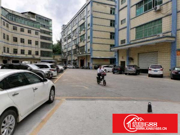 龙岗南联红本厂房出租，200-5000，独院可分租，易招工。