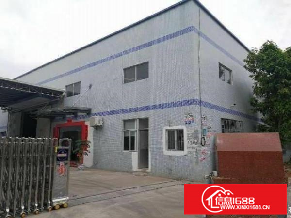 惠阳新圩独门独院钢构厂房1900平带行车滴水10