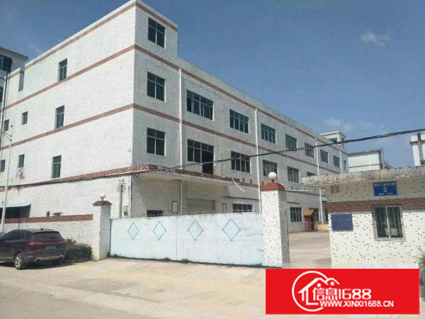 坪山石井工业区独门独院三层厂房及宿舍5500平招租