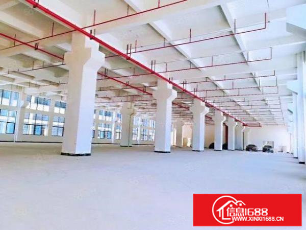 独院分租1000平米，2000平米，3000平米，价格便宜