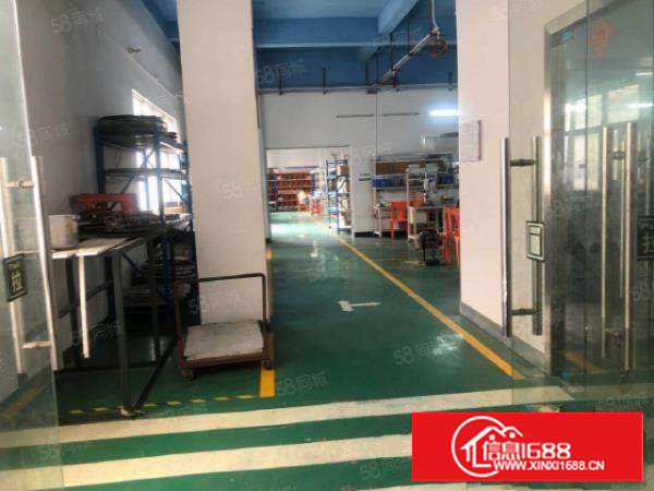 塘厦桥陇标准独院3300平,易招工,现成装修水电,原房东