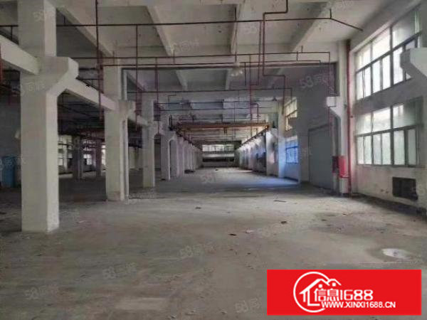 出租龙华大浪原房东一楼楼上厂房200至1000平出租有红本