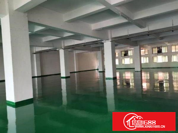 6块6块6块全虎门超便宜的厂房出租吧