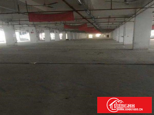 惠阳新墟原房东1400平方标准一楼仓库招租可分可整