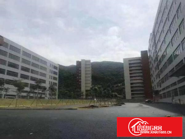 桥头全新小独院精装修厂房招租可买13600平米大小可分租