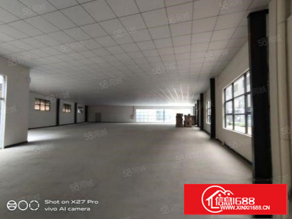 塘厦龙背岭单一层800平厂房招租！采光通透，现成吊顶，好招工