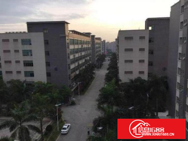 龙岗坪地高新产业园15万平方可享受高新补贴可分租