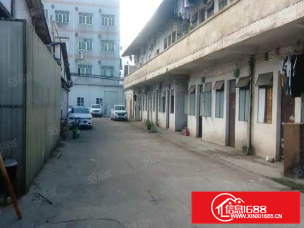 茶山独门独院单一层厂房仓库2200方出租