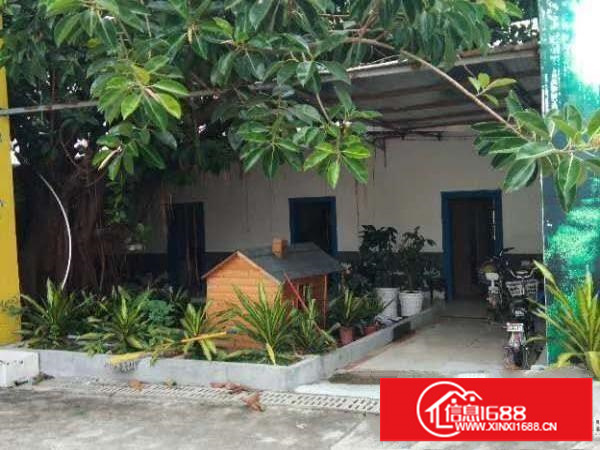 出租坪山独门独院3000平米