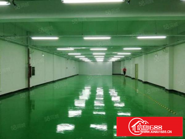 靠市区出租楼上带装修，带水电办公室，带正规电梯，500起分租