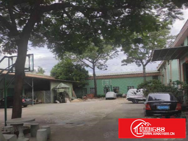 石排经典独院厂房4500平方米出租，可分租