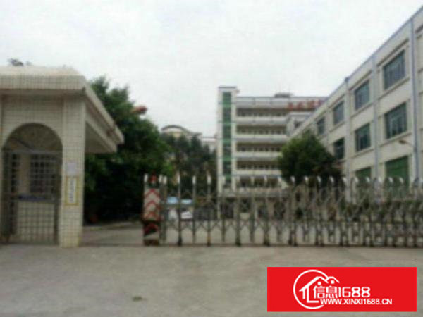 高埗新出独门独院标准厂房6500平方靠主干道，离高速口近