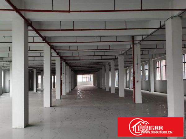 一手房东独院每层3500平米带地坪漆实际面积2部3吨电梯