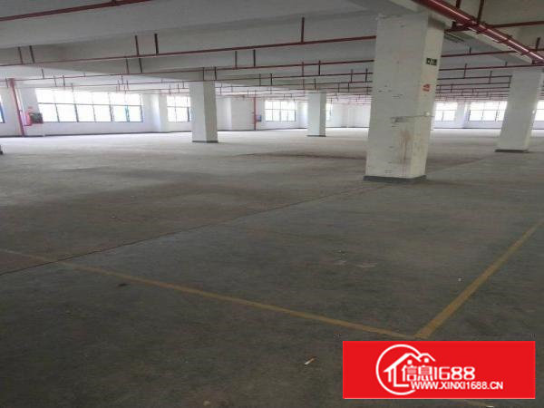 大型工业园内楼上120一2500平米大小户型实用装